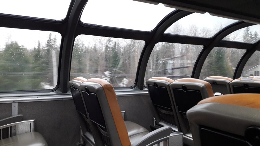 A 70s-style passenger dome on The Canadian: brown leather seats, a curved plexiglass roof, trees, telegraph poles and huts whooshing past outside.